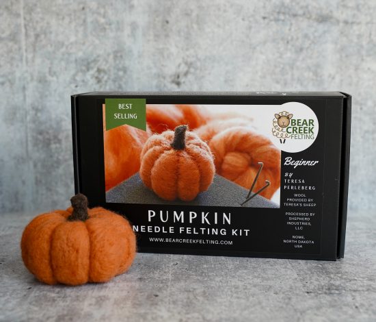 Pumpkin Needle Felting Kit (Beginner) - Image 5