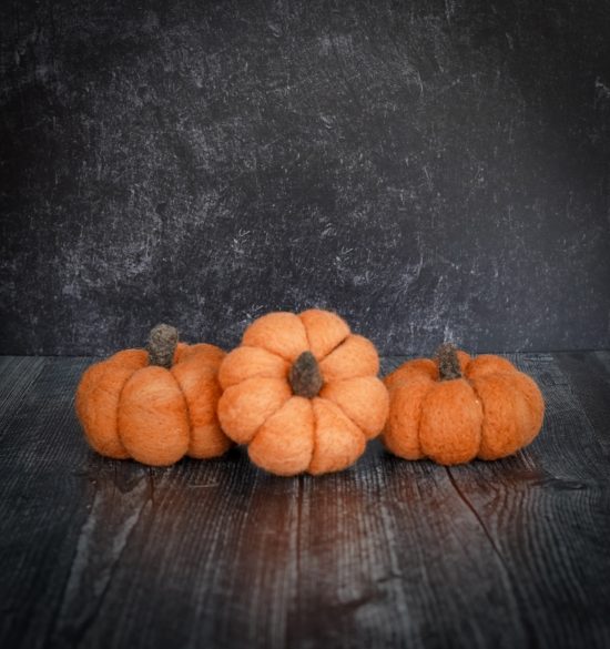 Pumpkin Needle Felting Kit (Beginner) - Image 9