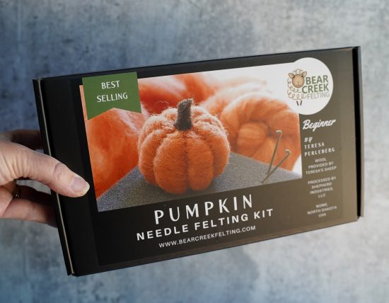 Pumpkin Needle Felting Kit (Beginner) - Image 2