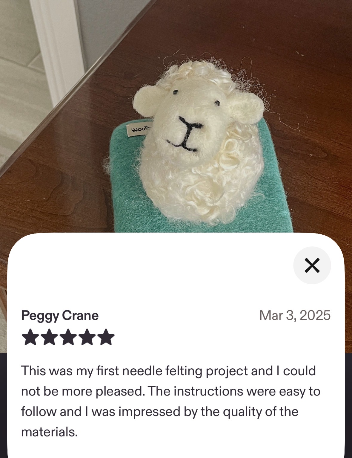 Sheep Needle Felting Kit (Easy Beginner) - Image 5