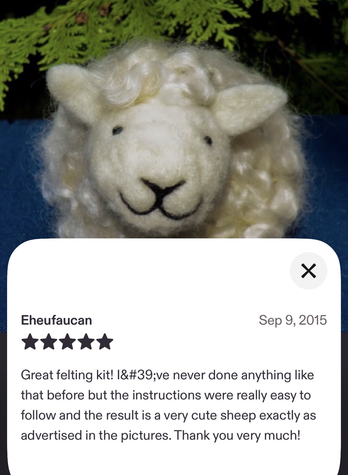 Sheep Needle Felting Kit (Easy Beginner) - Image 11