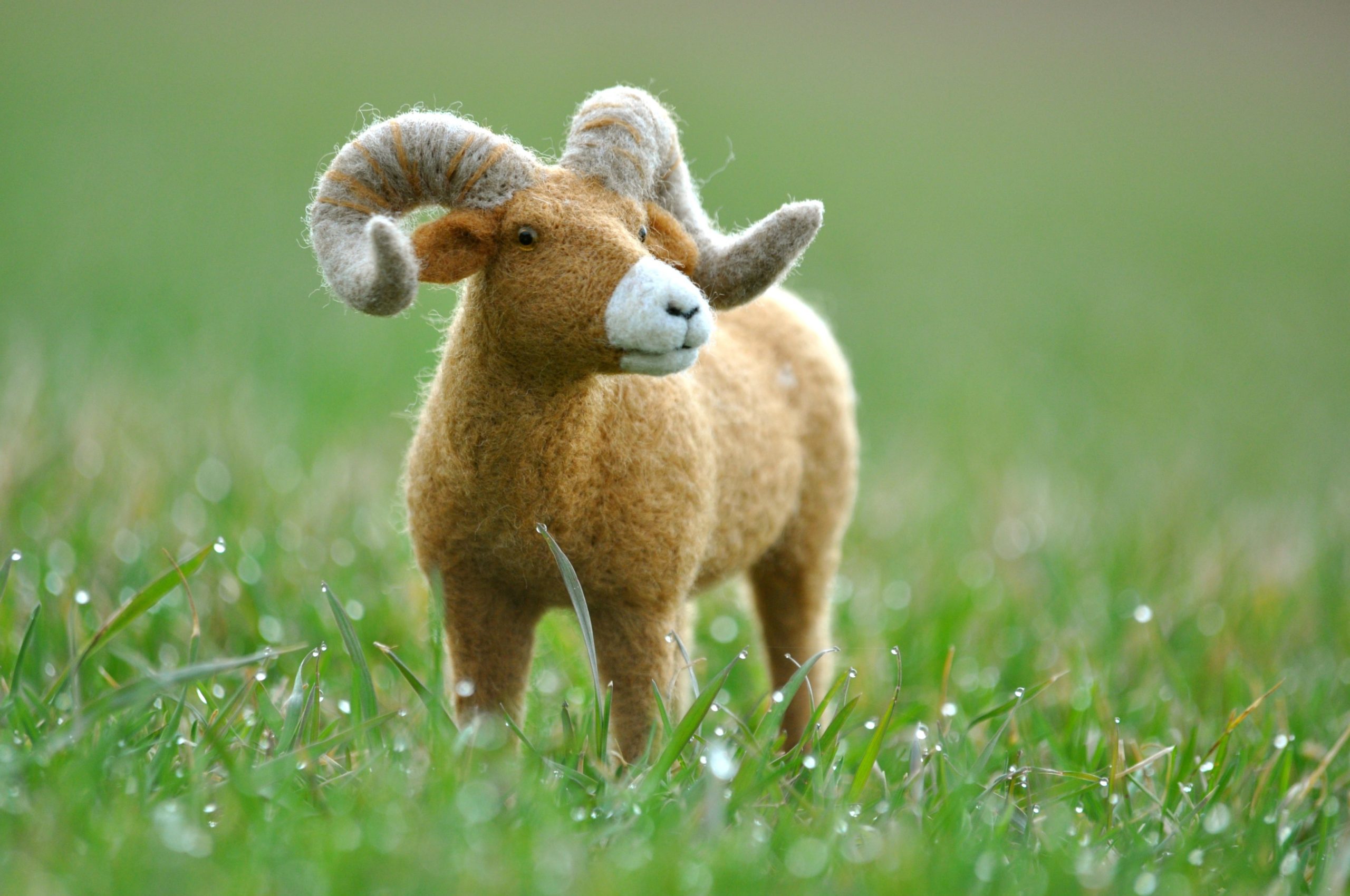 needle felted dragon