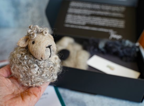Black Sheep Needle Felting Kit (Easy Beginner) - Image 3