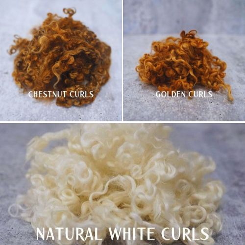 Curly teeswater wool in a variety of colors