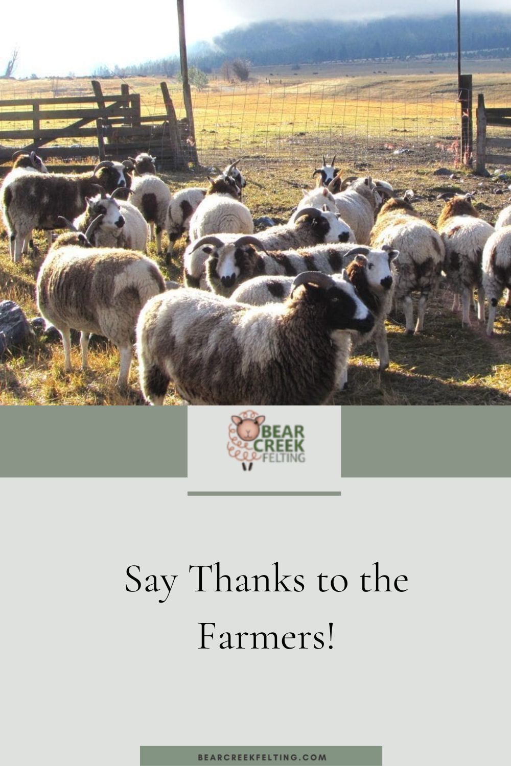 Say Thanks to the Farmers!