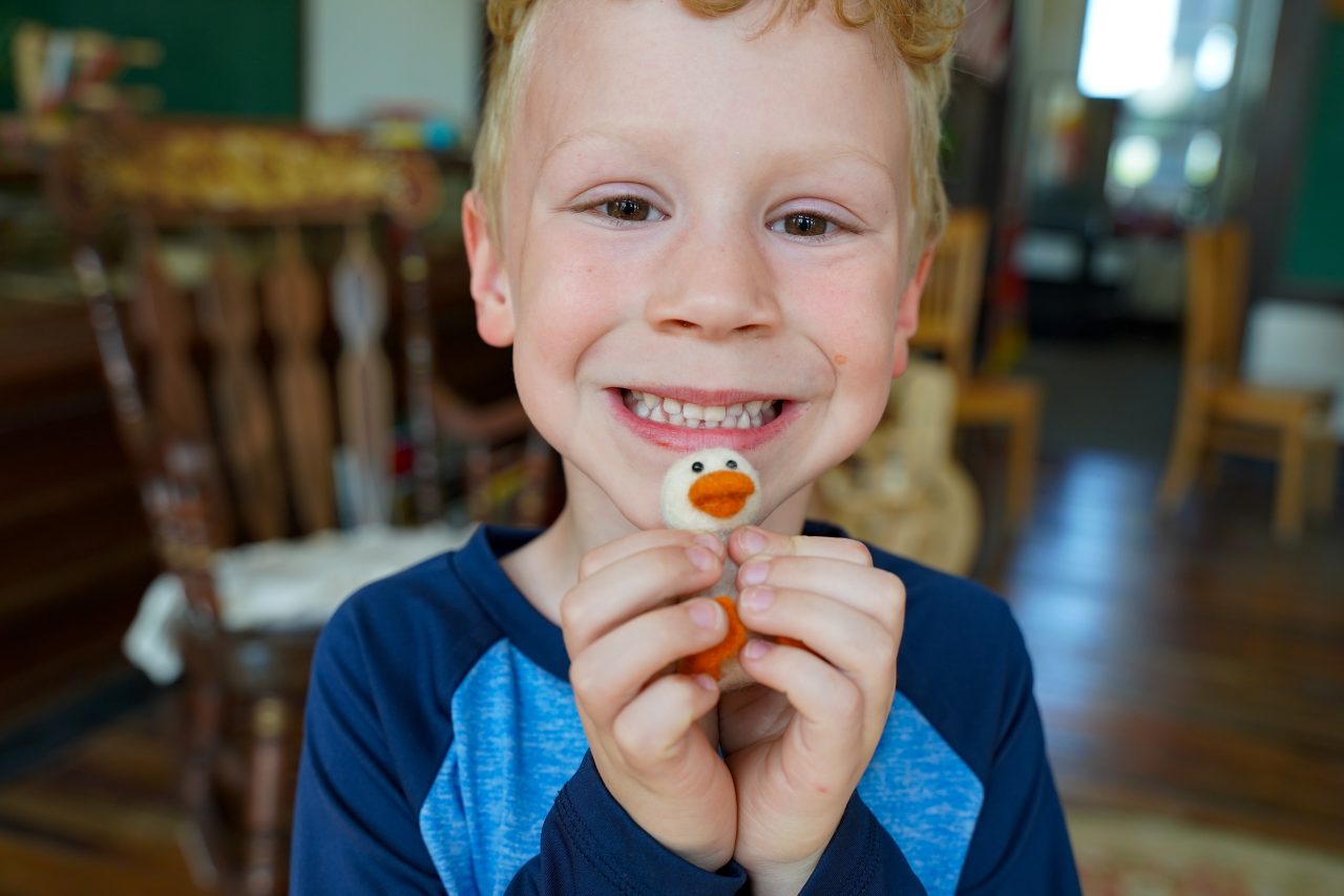 What’s Inside a Bear Creek Felting Kit? A Detailed Breakdown Bear