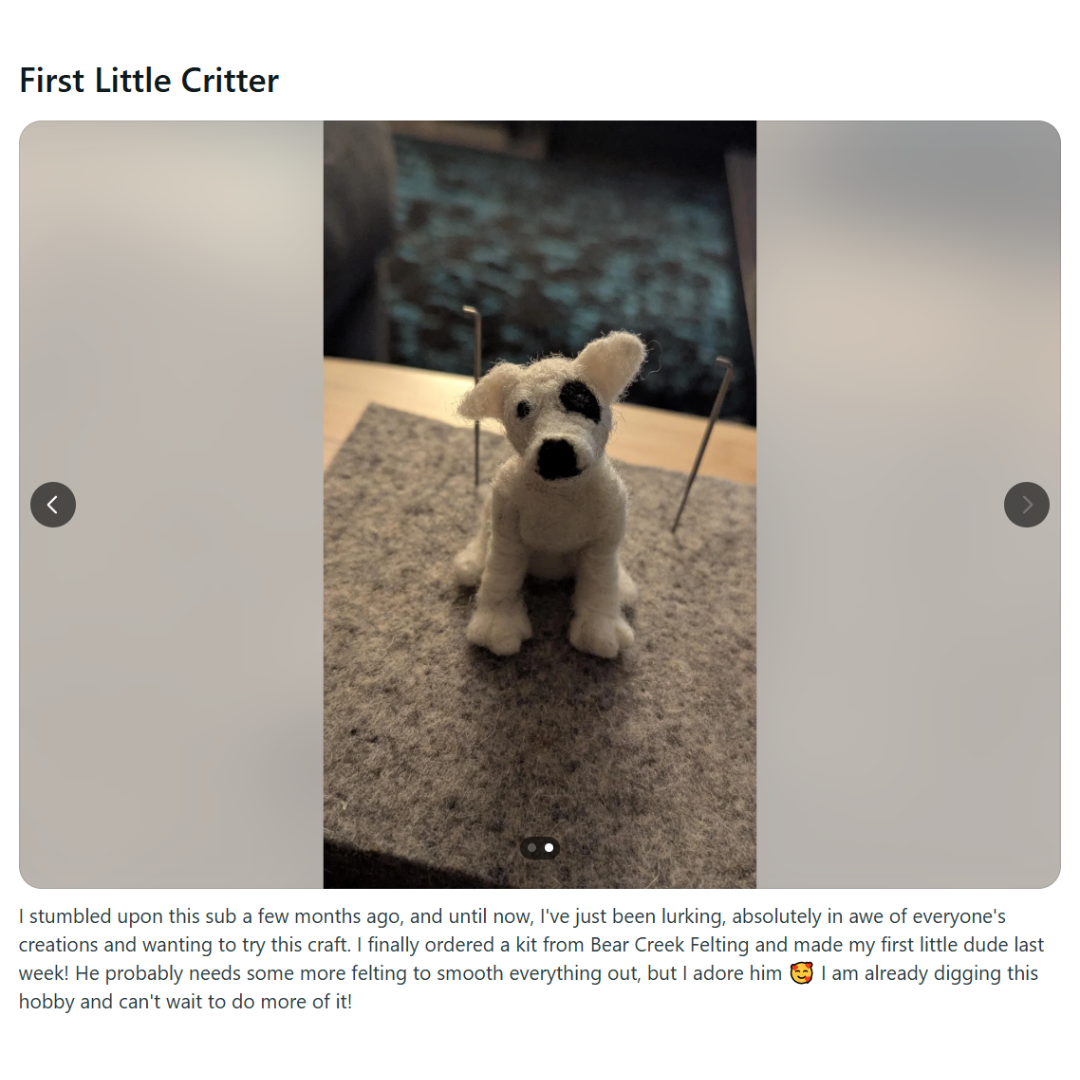 Puppy Needle Felting Kit - Image 5