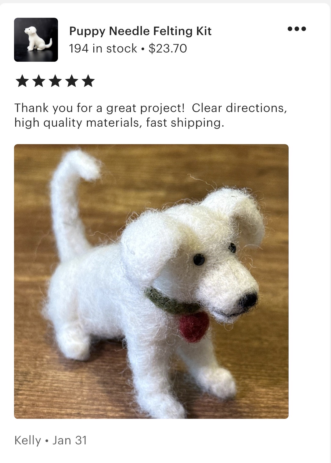 Puppy Needle Felting Kit - Image 10