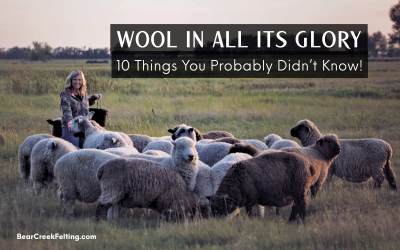 Wool In All Its Glory: 10 Things You Probably Didn’t Know!