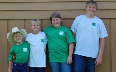 How to Start a 4-H Self-Determined Needle Felting Project