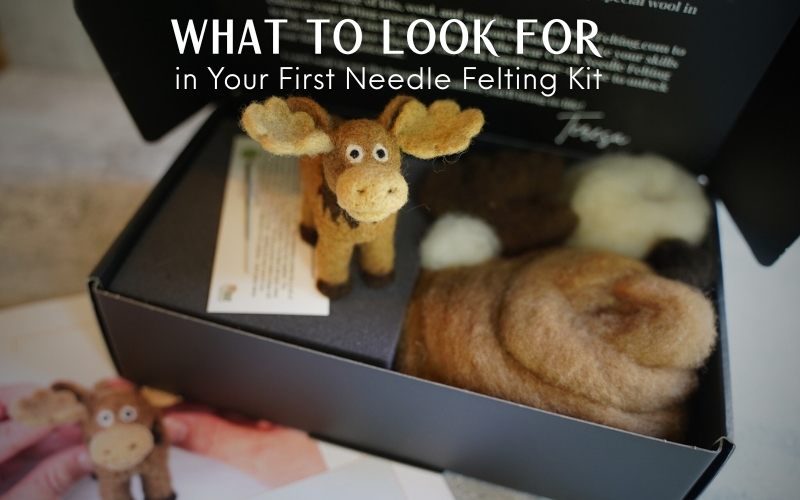 What to Look for in Your First Needle Felting Kit