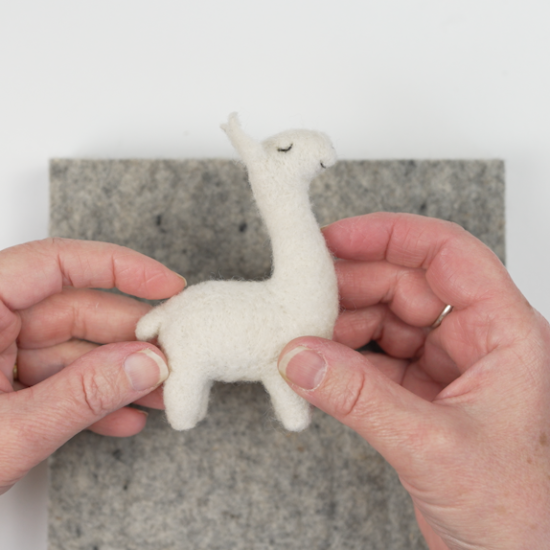 Little Llama Course Kit