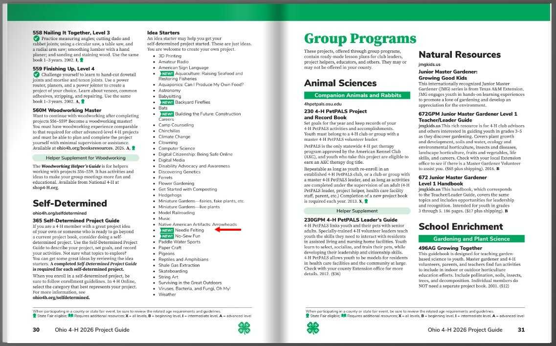 4-H Project Guide Needle Felting image