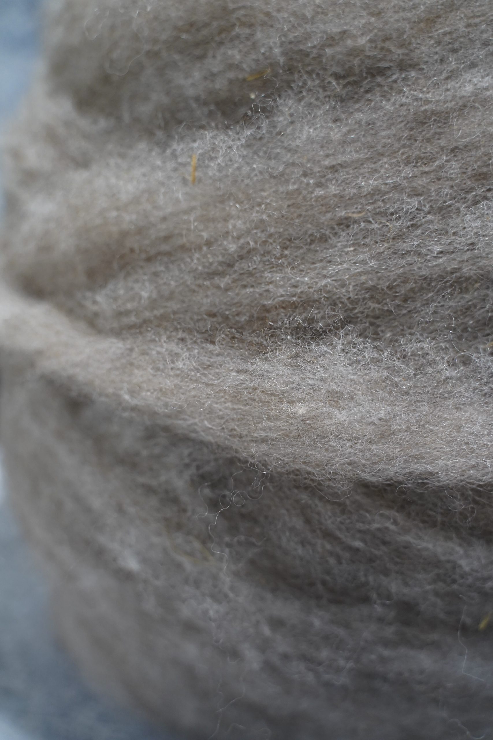 Natural Gray Romney Wool Bump – Bulk Farm-Raised Wool for Felting - Image 2