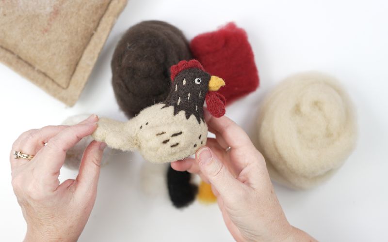 Brown Chicken Kit for beginners