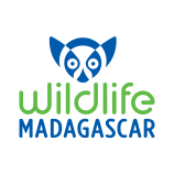 wildlife madagascar logo