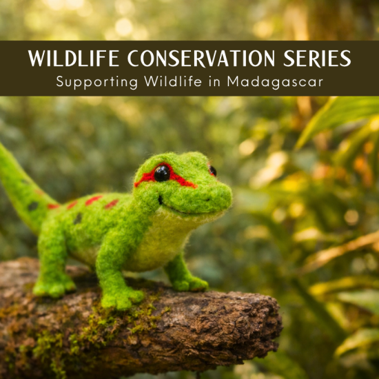 Wildlife Conservation Series