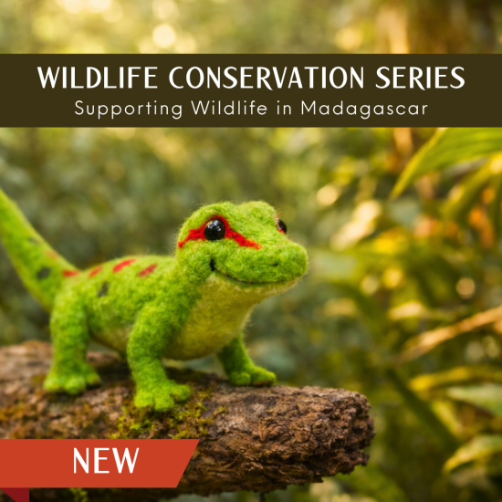 Wildlife Conservation Series