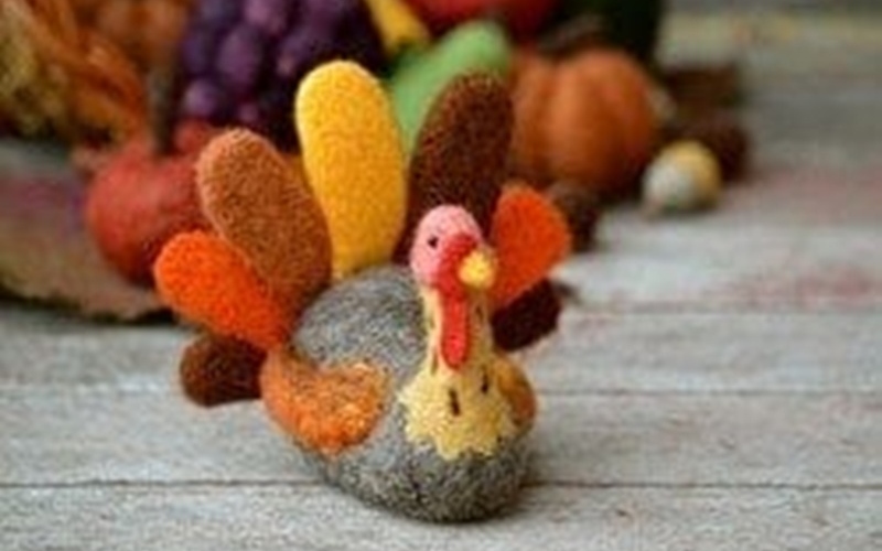 Fall Seasonal Kits for the homepage
